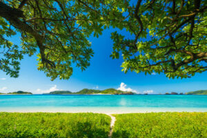 Zamami Island-Things to See in Okinawa