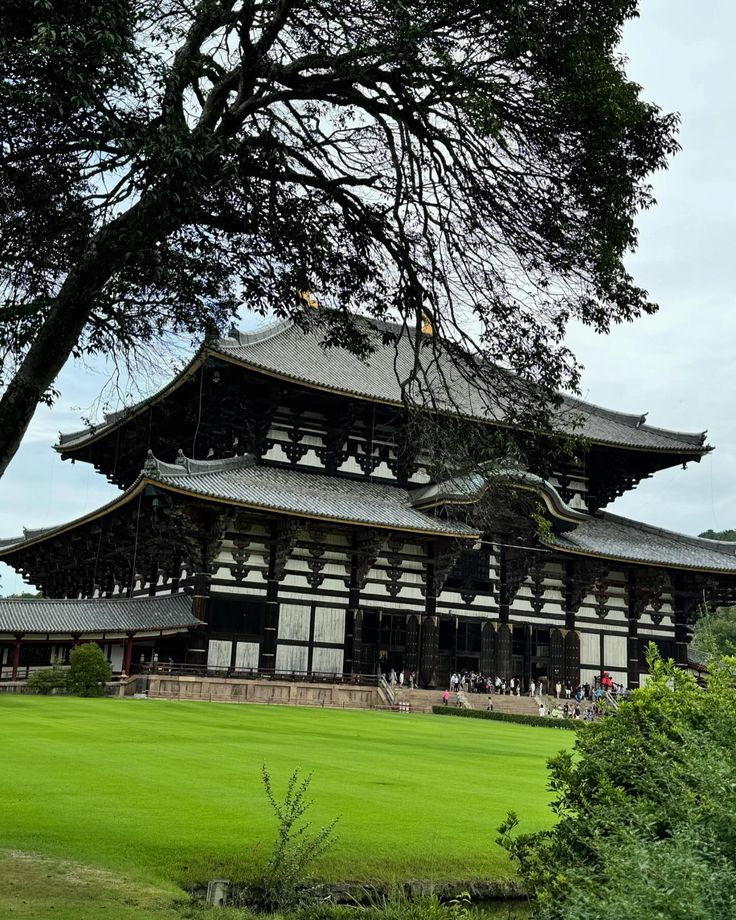 nara, japan 🦌🇯🇵 #japan #narapark #naradeer…